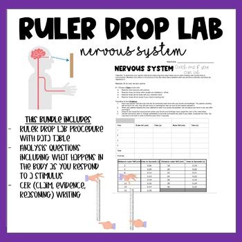 ruler drop test nervous system|ruler drop test for kids.